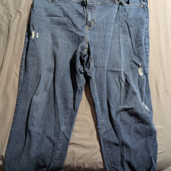 Lane Bryant Denim - Distressed Blue Jeans